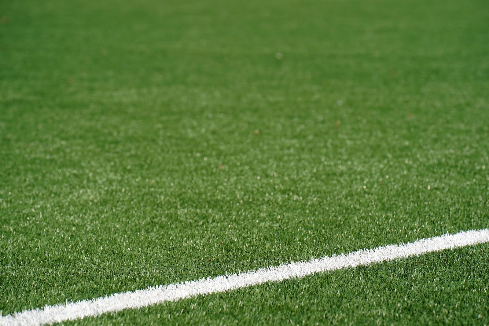 Turf after cleaning