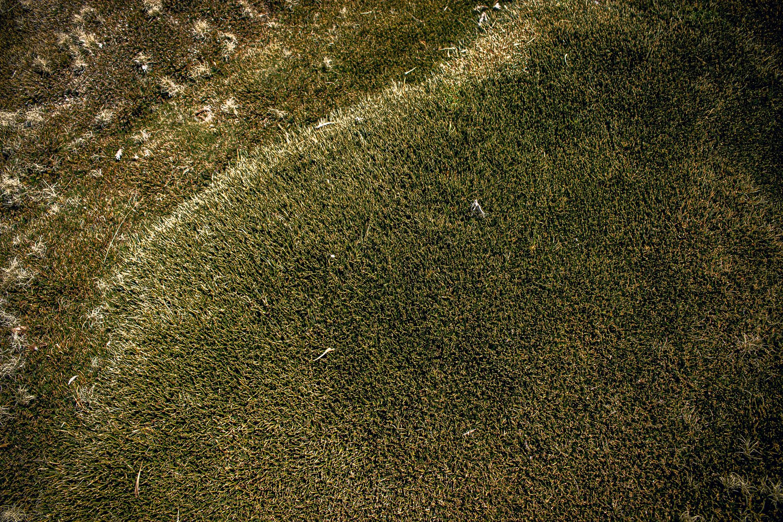 Turf before cleaning