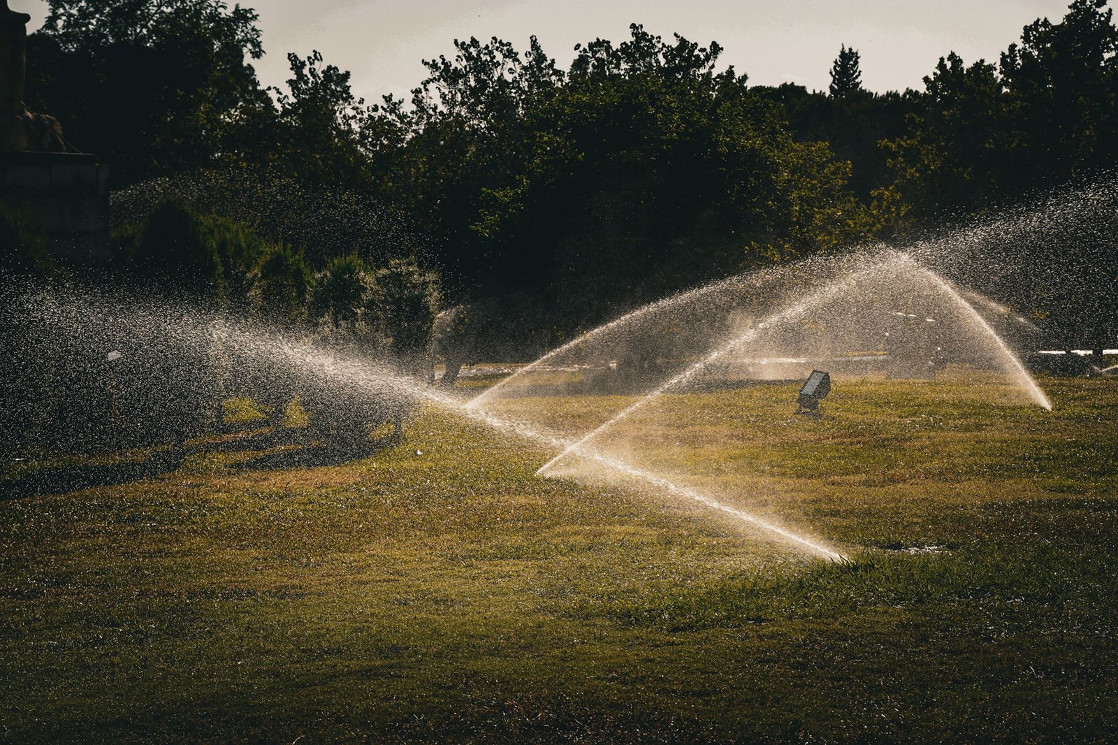 Irrigation and drainage check service
