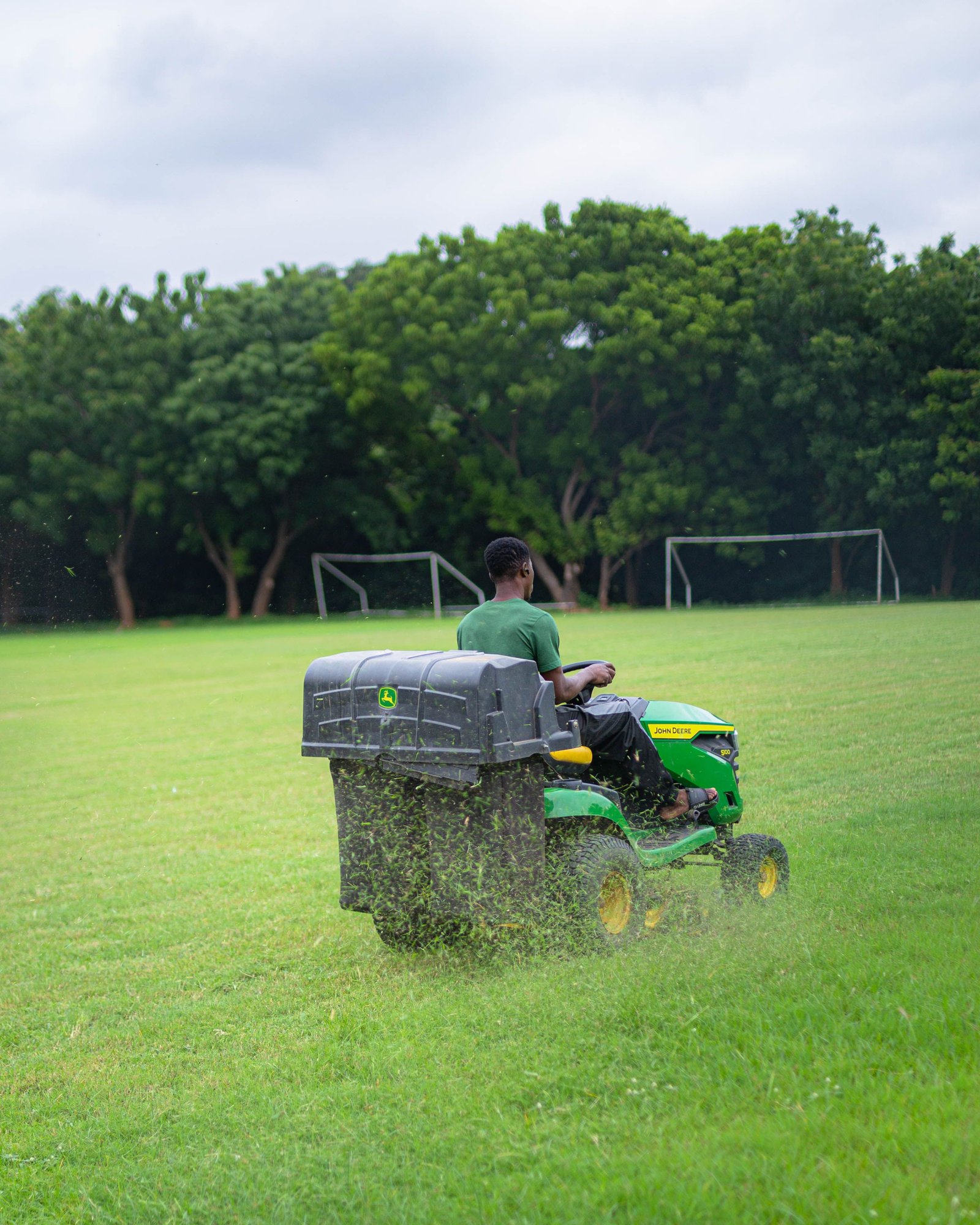 Hedge and shrub trimming service